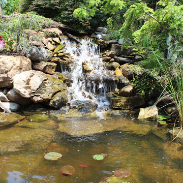 Ponds