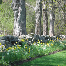 Landscape Ideas