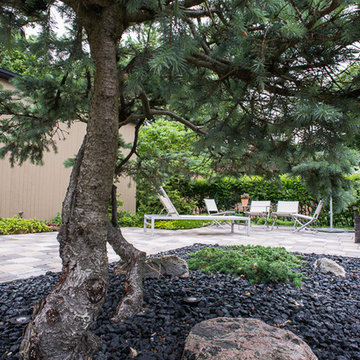 Modern Zen Garden Courtyard