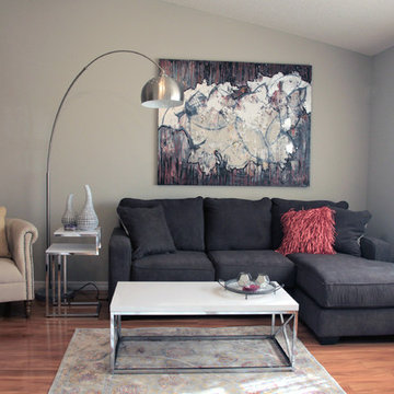 Transitional Small Living Room - low budget