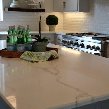 Carnegie kitchen, family room & bar - Plano, TX