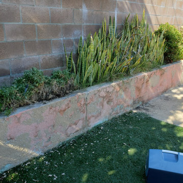 Backyard clean up and remodel