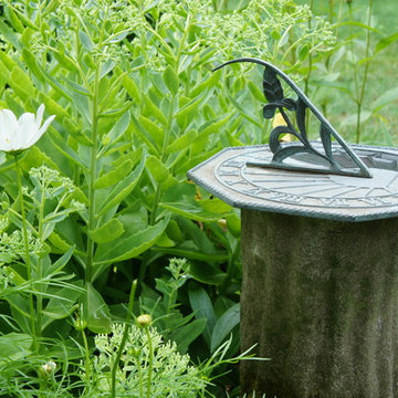 garden flowers