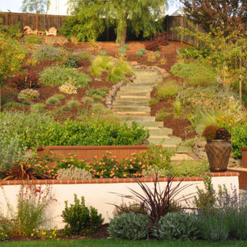 Hillside