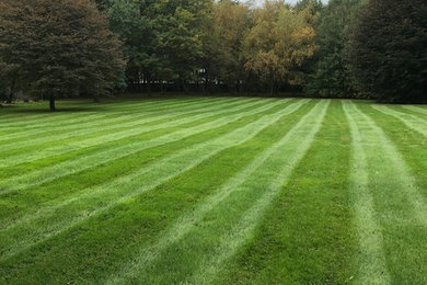 Inspiration for a landscaping in Grand Rapids.
