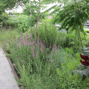 The High Line