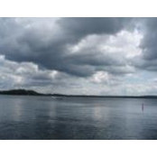 Gloria Odegaard's photo