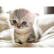 Franco Duncker's photo