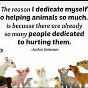 Amy Heller's photo