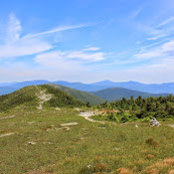 Brayton Pickard's photo