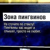 Peredz Ivanovs billede