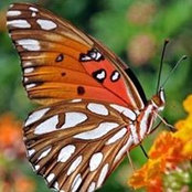 Trish Patterson's photo