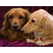 Patty Bissell's photo