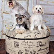 Debbie Turner's photo