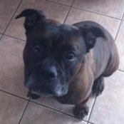 Tammy Charron's photo