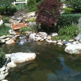 Foto de perfil de CMB Landscaping Services