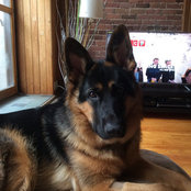 Elyse Rancourt's photo