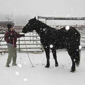 Foto von Pattie OBrien