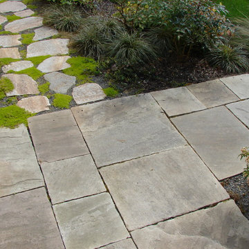 Northwest Contemporary Yard - Green Lake, Seattle