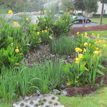 Storm water gardens