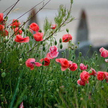 Beach garden, Sussex