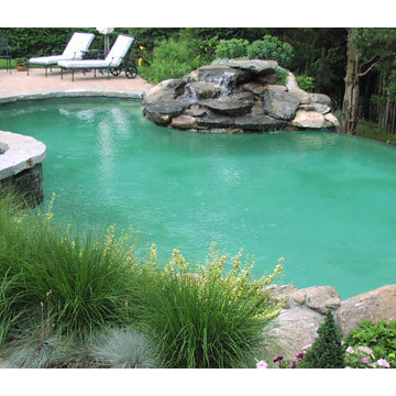 Custom Backyard Pool Portfolio