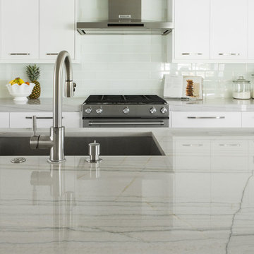 White Macaubus Quartzite Project