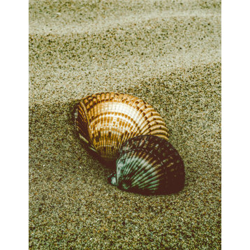 Dreamy Beach Seashells Coastal Nature Photo Unframed Wall Art Prints, 16" X 20"