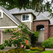 Exterior Ideas