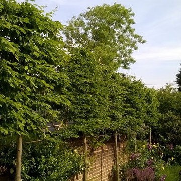 Gravel garden