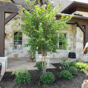 Muskogee Crape Myrtle