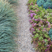 Garden Delight
