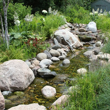 Naturalized Yard