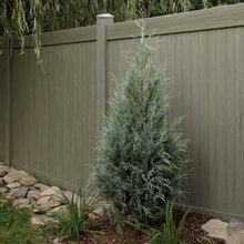 side yard