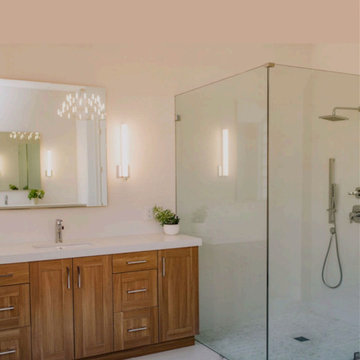 Master Bathroom Renovation