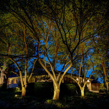 Limestone Ranch- Chevy Chase, Lexington, KY