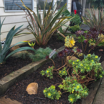 Landscape Maintenance