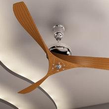 Ceiling Fans