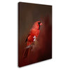 Jai Johnson 'Cardinal In Antique Red' Canvas Art, 24 x 16