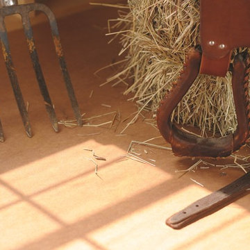 Shed Interiors