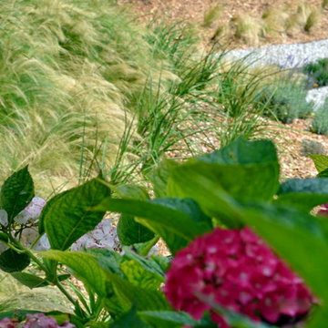 Perrenial garden