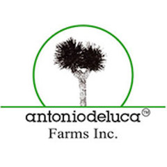 Antonio Deluca Farms Inc.