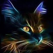 Irene Mannon's photo