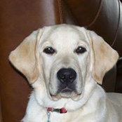 Dave Sabel Jr.'s photo