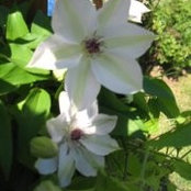 Michele Harper's photo