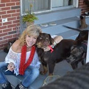 Lisa Dangerfield's photo