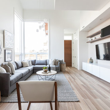 Living Room - Contemporary