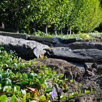Fieldstone walls and vines