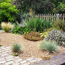Cottage Garden