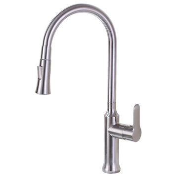 Vanity Art Pull Out Kitchen Faucet, Brushed Nickel